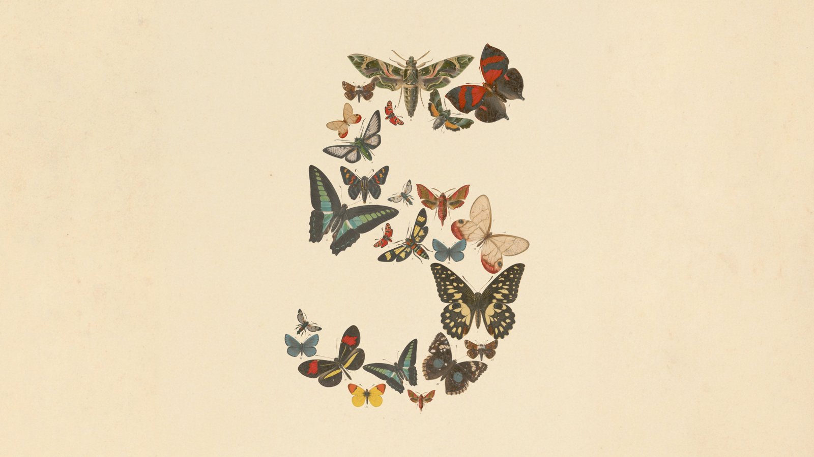 Anthropic Fable 5 and Mythos 5 models suspended and restored